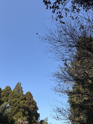 67. お墓掃除の日に気づいた「元気なうちに考える」ということ