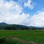 56.　　電気代が気になる夏…エアコンの節電、本当のところどうなの？