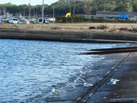 70.　カンファレンス番外編・糸島で満たされた心とお腹